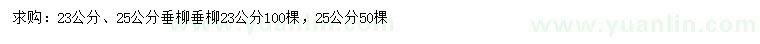 求购23、25公分垂柳垂柳