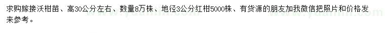 求购高30公分左右沃柑苗、红桔苗