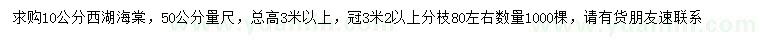 求购50公分量10公分西湖海棠