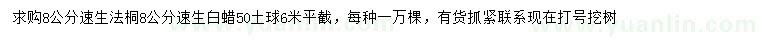 求购8公分速生法桐、速生白蜡