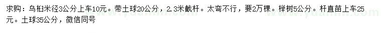 求购3公分乌桕、5公分榉树