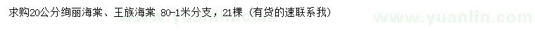 求购20公分绚丽海棠、王族海棠