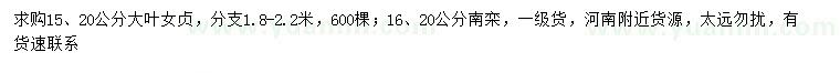 求购15、20公分大叶女贞、16、20公分南栾