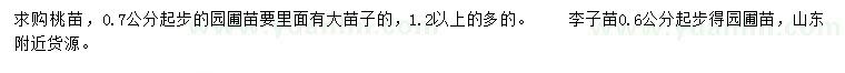 求购0.7公分起步桃苗、0.6公分起步李子苗