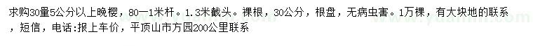 求购30公分量5公分以上晚樱