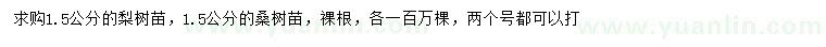 求购1.5公分梨树苗、桑树苗