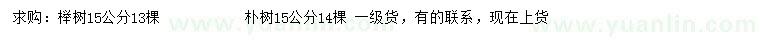 求购15公分榉树、朴树