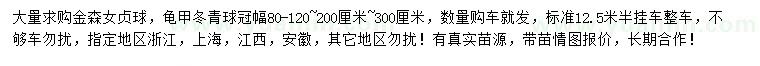 求购冠幅80、120、150公分金森女贞球、龟甲冬青球