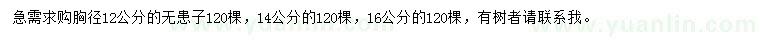 求购胸径12、14、16公分无患子