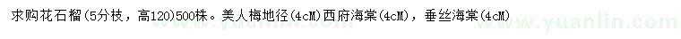 求购花石榴、美人梅、垂丝海棠