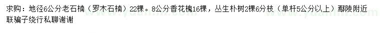 求购老石楠（罗木石楠）、香花槐、丛生朴树
