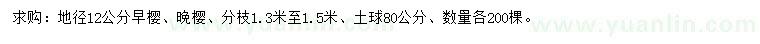 求购地径12公分早樱、晚樱