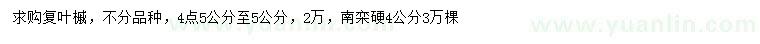 求购4.5-5公分复叶槭、硬4公分南栾