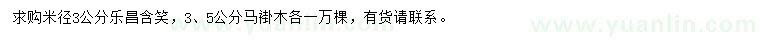 求购米径3公分乐昌含笑、3、5公分马褂木