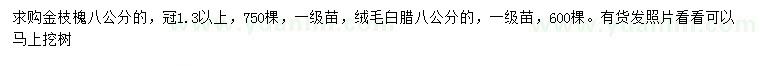 求购8公分金枝槐、绒毛白腊