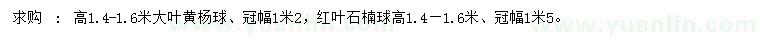 求购高1.4-1.6米大叶黄杨球、红叶石楠球