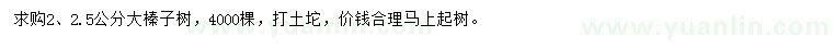 求购2、2.5公分大榛子树