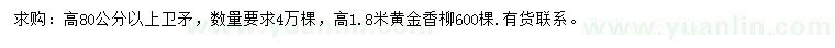 求购高80公分以上卫矛、高1.8米黄金香柳