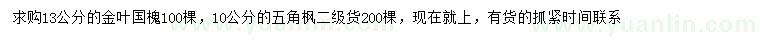 求购10、13公分金叶国槐