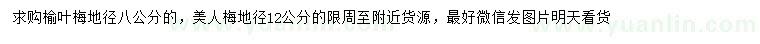 求购地径8公分榆叶梅、12公分美人梅