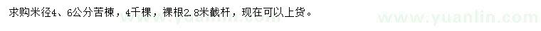 求购米径4、6公分苦楝