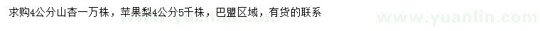 求购4公分山杏、苹果梨