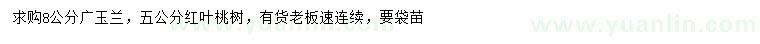 求购8公分广玉兰、5公分红叶桃