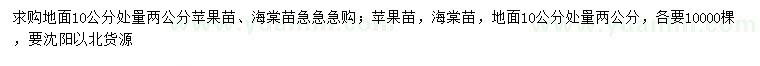 求购地面10公分量2公分苹果苗、海棠苗