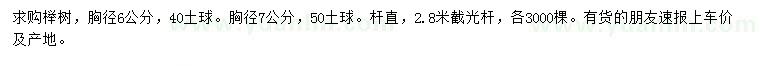 求购胸径6公分榉树、榉树