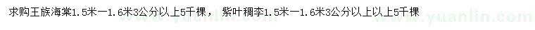 求购3公分以上王族海棠、紫叶稠李
