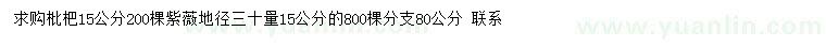 求购15公分枇杷、地径30公分量15公分紫薇