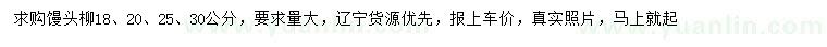 求购18、20、25、30公分馒头柳