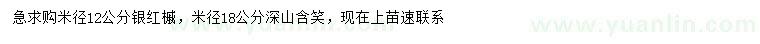求购米径12公分银红槭、18公分深山含笑
