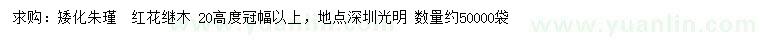 求购高20公分矮化朱瑾、红花继木