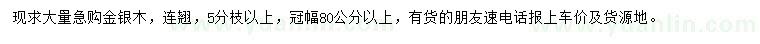求购冠幅80公分以上金银木、连翘