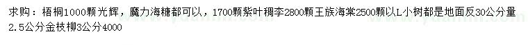 求购梧桐、紫叶稠李、王族海棠等