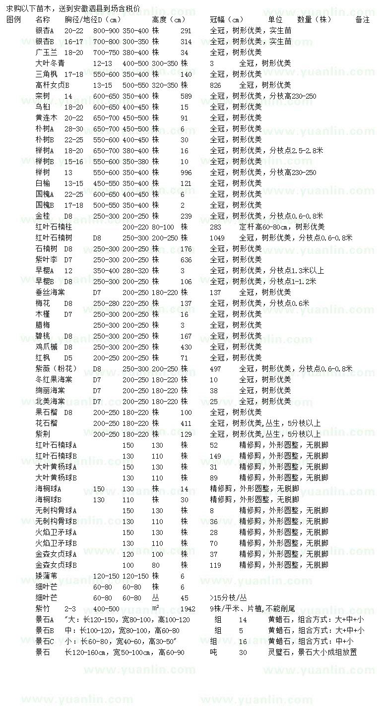 求购银杏、广玉兰、大叶冬青等