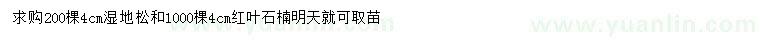 求购4公分湿地松、红叶石楠