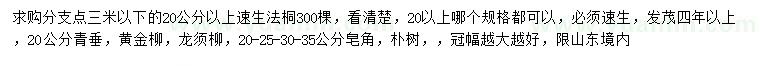 求购速生法桐、青垂、黄金柳等