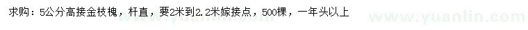 求购5公分高接金枝槐