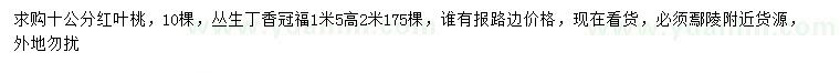 求购10公分红叶桃、高2米丛生丁香