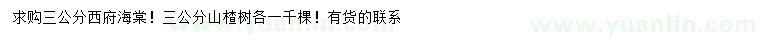 求购3公分西府海棠、山楂树