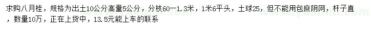 求购高10公分量5公分八月桂