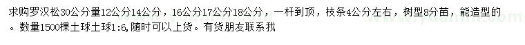 求购30公分量12、14、16、17、18公分罗汉松