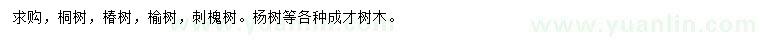 求购桐树、椿树、榆树等