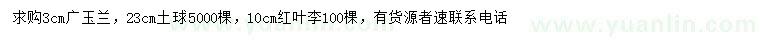 求购3公分广玉兰、10公分红叶李