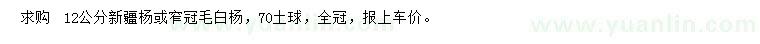 求购12公分新疆杨或窄冠毛白杨