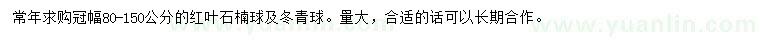 求购冠幅80-150公分红叶石楠球、冬青球