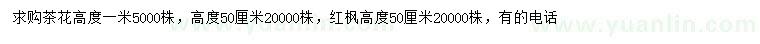 求购高50、100公分茶花、50公分红枫