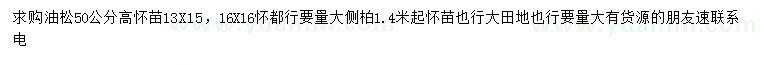 求购高50公分油松、1.4米起大侧柏